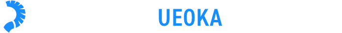 SYUNSUKE UEOKA Official Bio Data